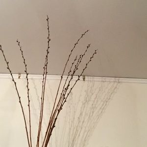 Meet your Posher, Meghan